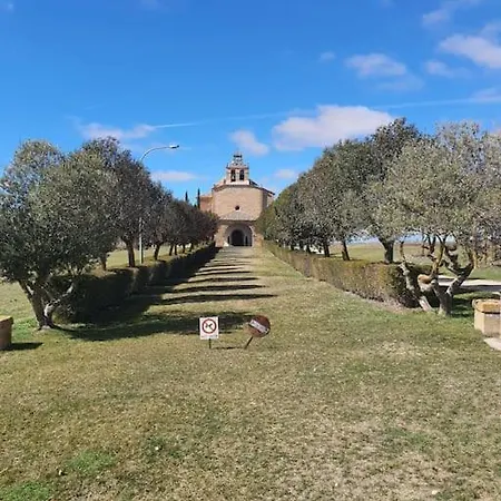 Girasoles Almenar de Soria