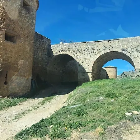 Girasoles Almenar de Soria