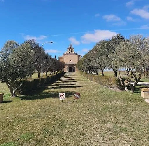 Girasoles Almenar de Soria