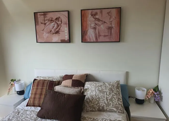 Girasoles Almenar de Soria