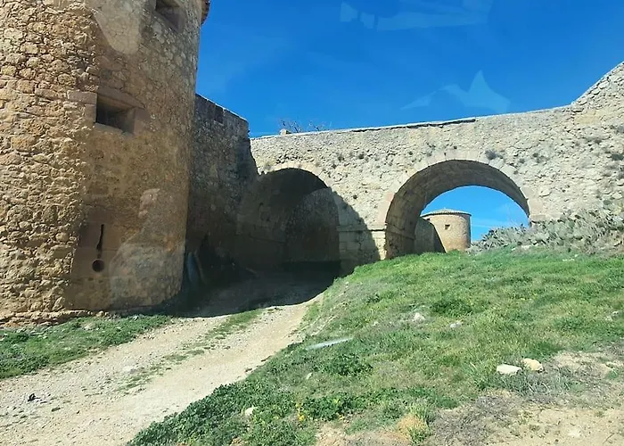 Girasoles Almenar de Soria